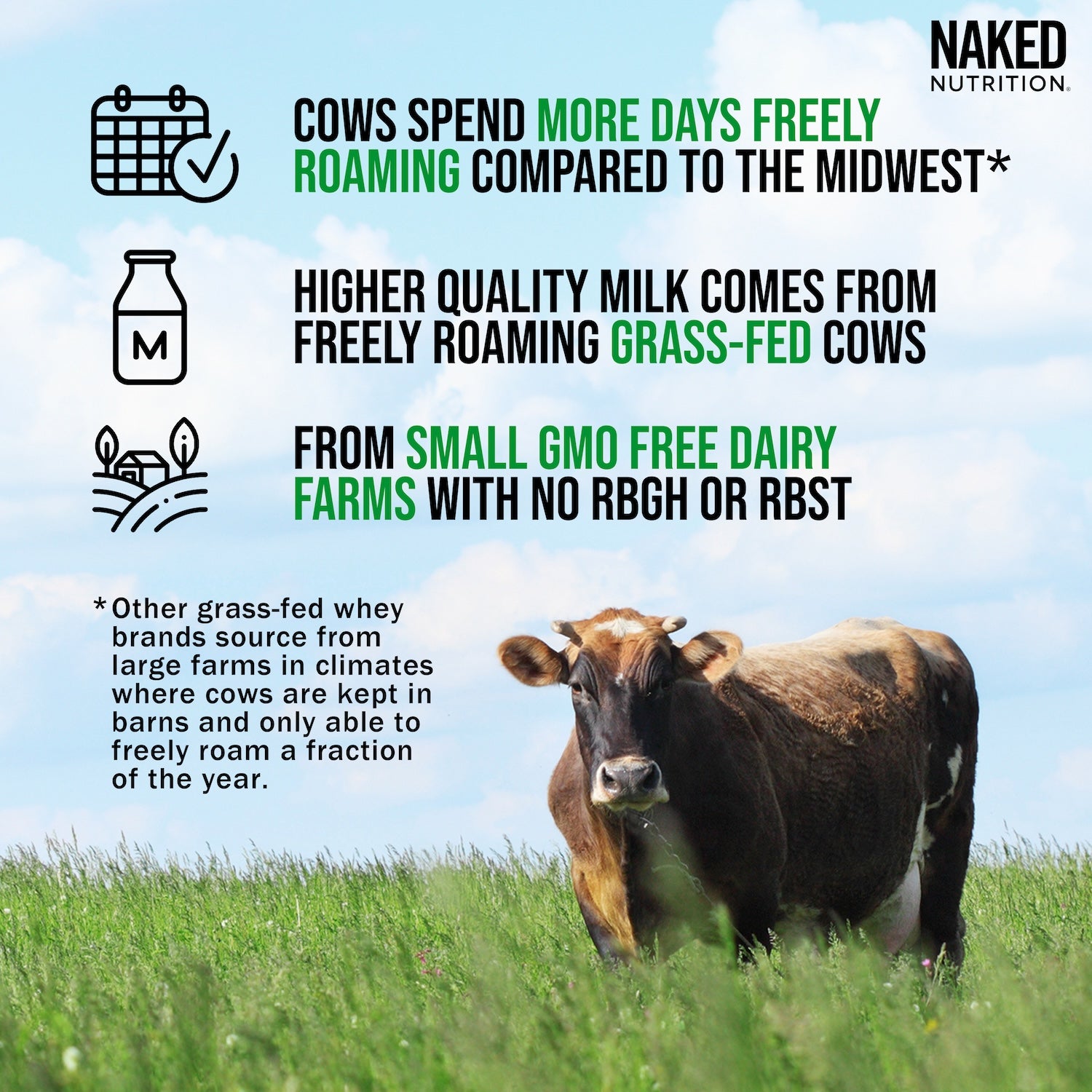 Paquete de muestra de proteína de suero de leche en polvo alimentada con pasto