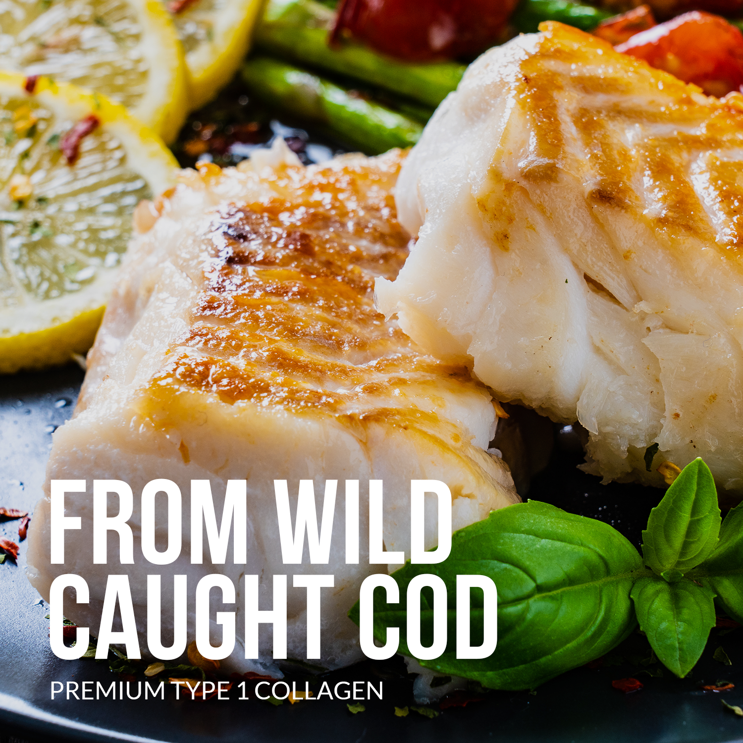 Marine Collagen Peptides Protein Powder | Naked Marine Collagen - Image 4