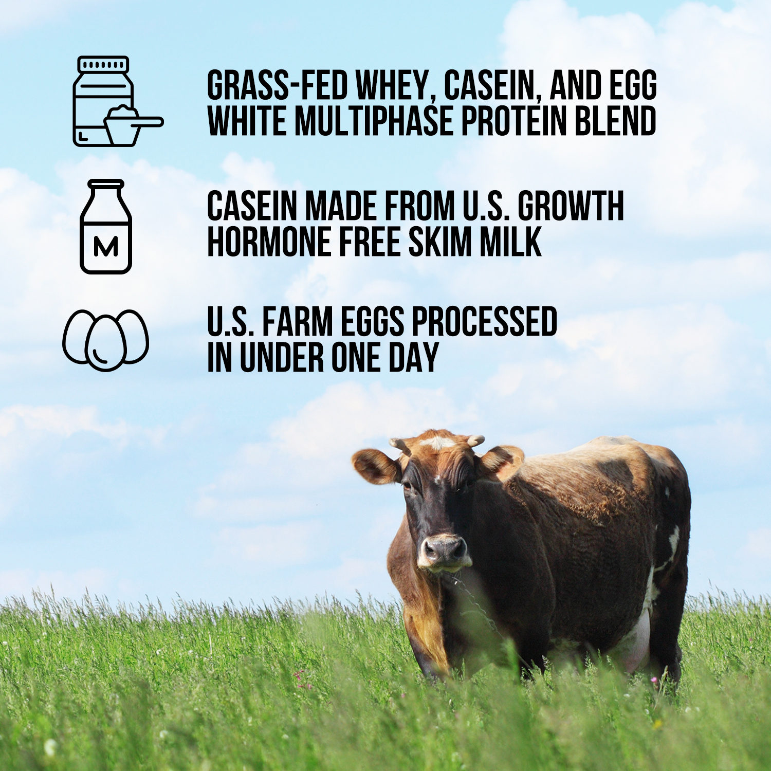 Protein Powder Blend - 3LB Egg, Whey & Casein Protein Blend | Naked Protein - 3LB