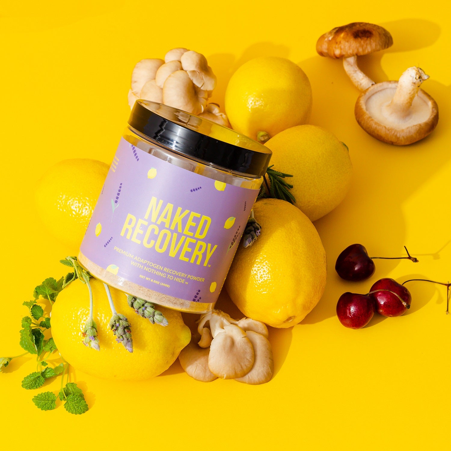 Recovery Mushroom Supplement | Naked Recovery 4