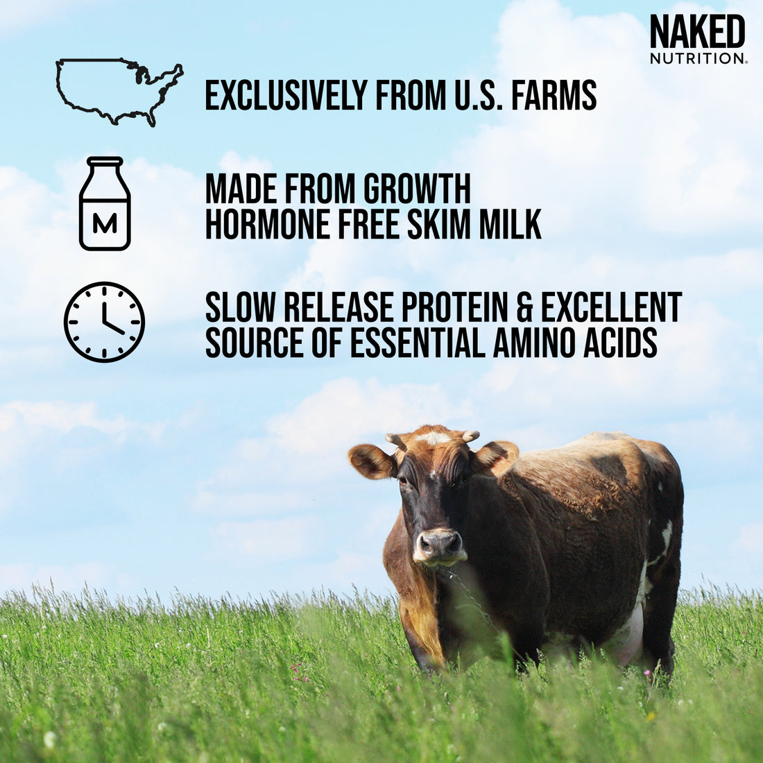 Micellärt Kaseinproteinpulver | Naked Casein - 5 lb