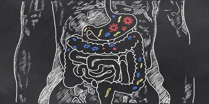 Antibióticos para la salud intestinal