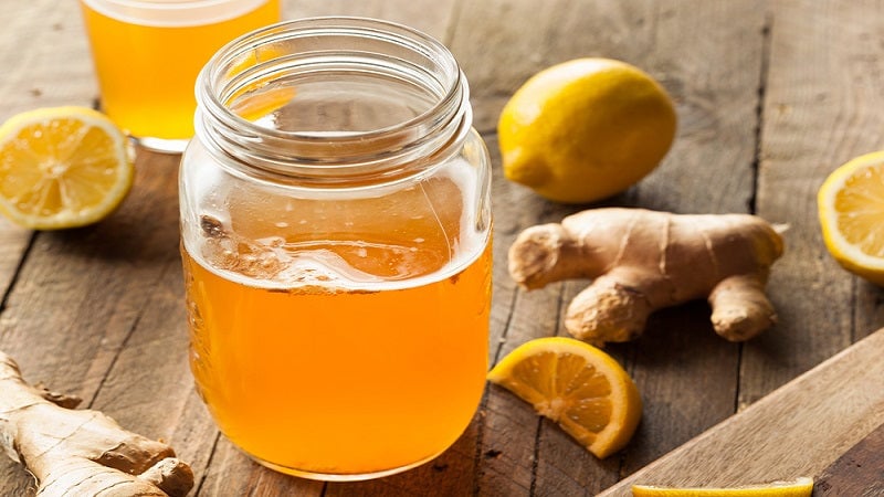 kombucha salud intestinal