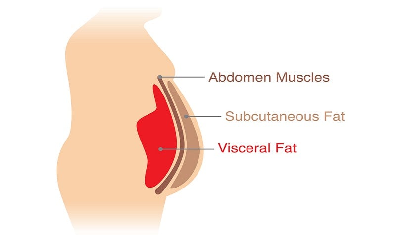 Grasa visceral
